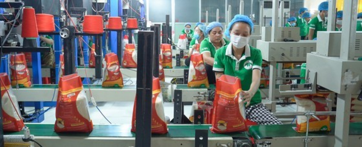 Vietnam is becoming a milestone in the national goal of rice export