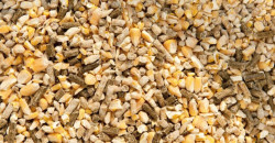 ICCF publishes guidance document on ‘Identification and characterization of feed ingredients