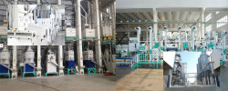 Medium And Large Rice Processing Equipment Maintenance Knowledge, How Much Do You Know?