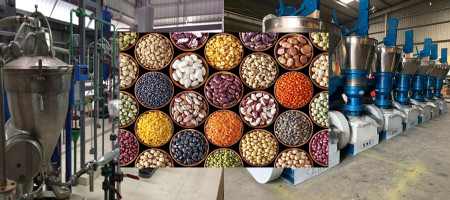 Different aspects of oil seeds, how much oil should be consumed