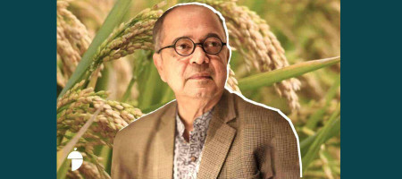 Cultivation of Panchbrihi Paddy: A breakthrough by a Bangladeshi scientist