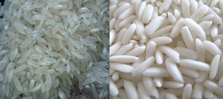 What Are Indica, Japonica And Glutinous Rice