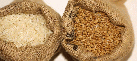 "Rice, wheat today has fewer nutrients, more toxins than 50 years ago"
