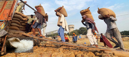 Global rice crisis hits 20-year high: Navigating the aftermath of India's export ban