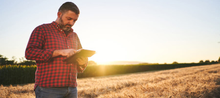 Cargill ElevateTM Grain Marketing Solutions Empower Farmers to Make Informed Decisions Tailored to Their Farm