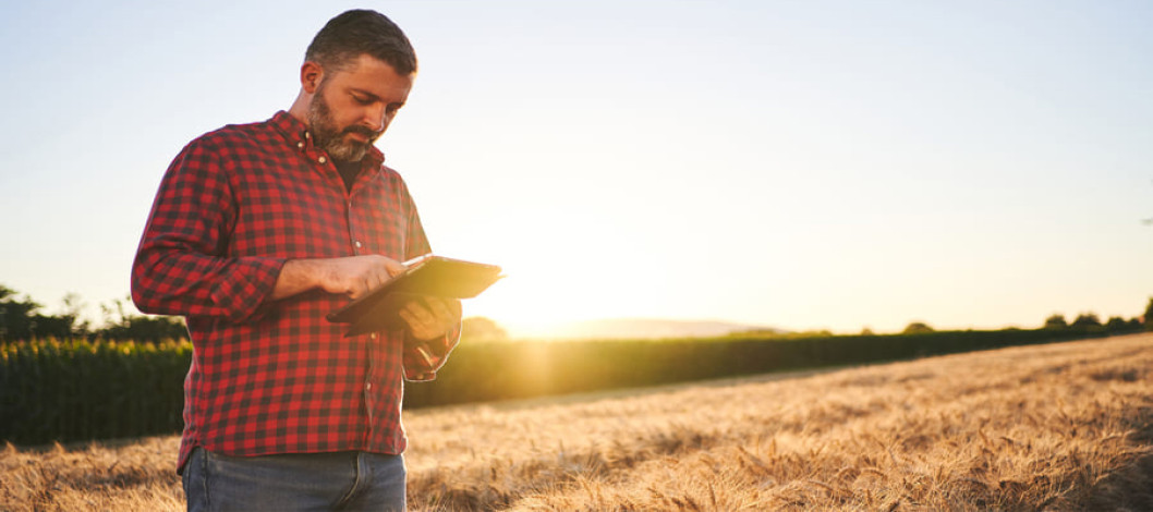 Cargill ElevateTM Grain Marketing Solutions Empower Farmers to Make Informed Decisions Tailored to Their Farm