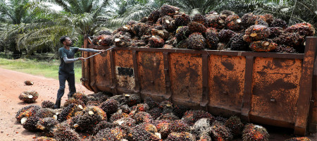 Malaysia kept crude palm oil export duty at 8% for April