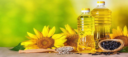 Edible Oils Market: Navigating the Future Market Overview