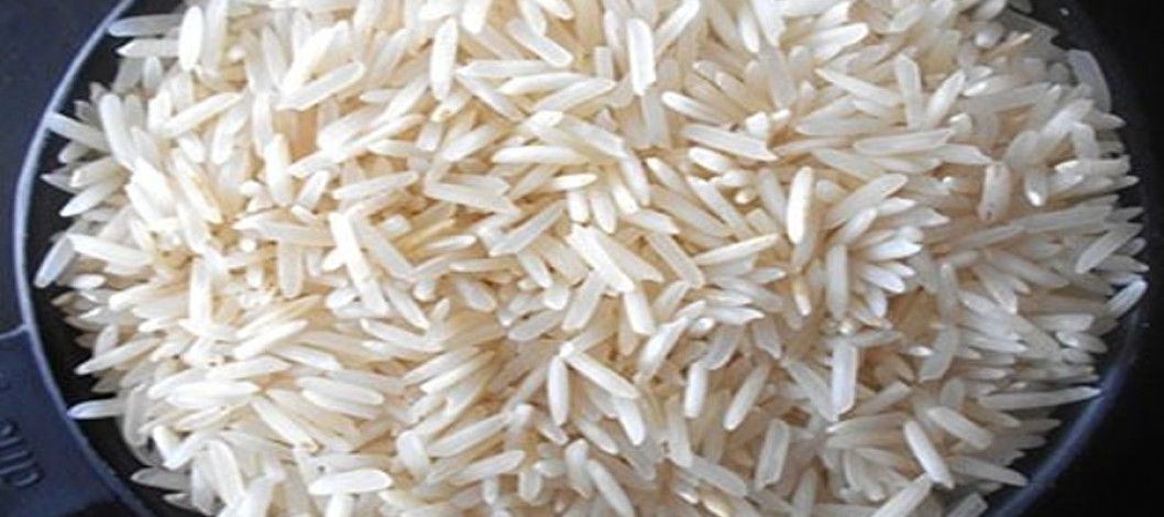 Record breaking: Basmati rice exports to rise in FY2024