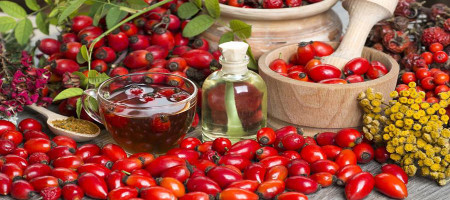 Rosehip Market: Navigating the Future