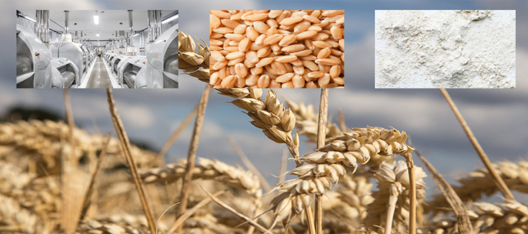 Production, storage and market of second grain wheat in Bangladesh