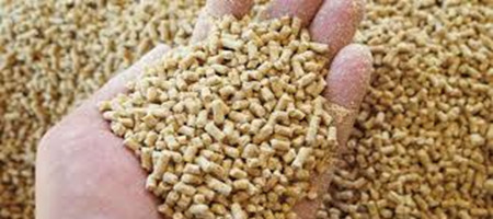 Feed Phosphate Market