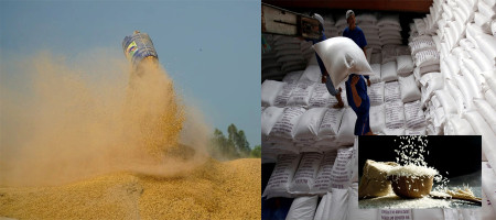 Mechanisms needed to go around in the rice industry: Insiders