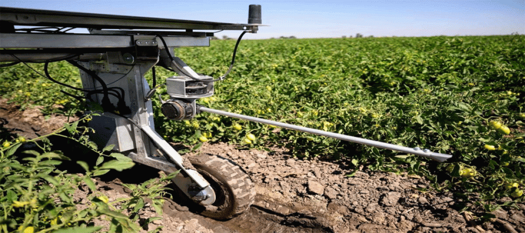 AI robots work for weeders and farm workers