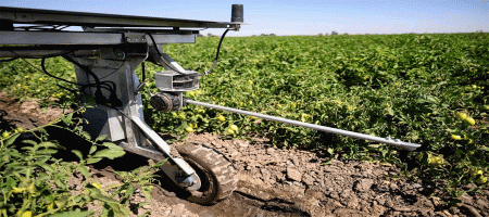 AI robots work for weeders and farm workers