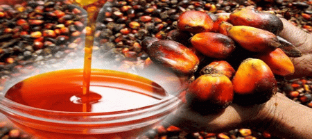 Indian importers increase palm oil purchases ahead of the festive season