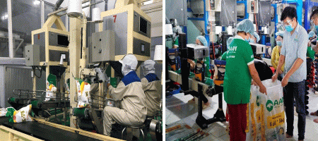 Expectations for rice exports to new markets