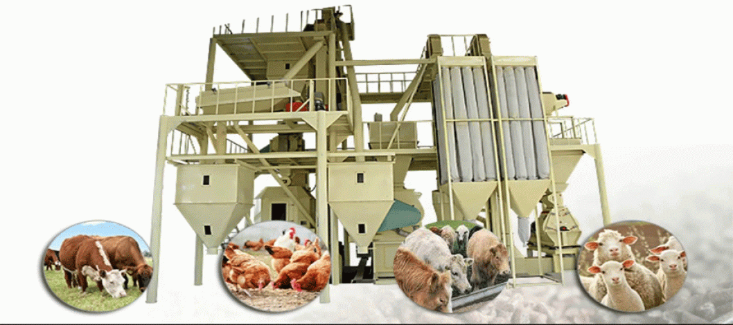The best solution for livestock feed production