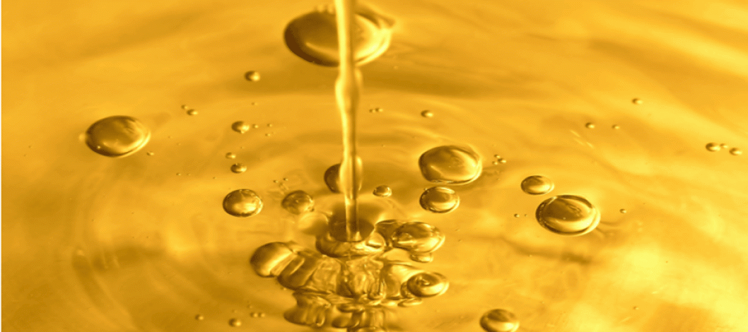 Global Edible Oil Market 2025 – 2034