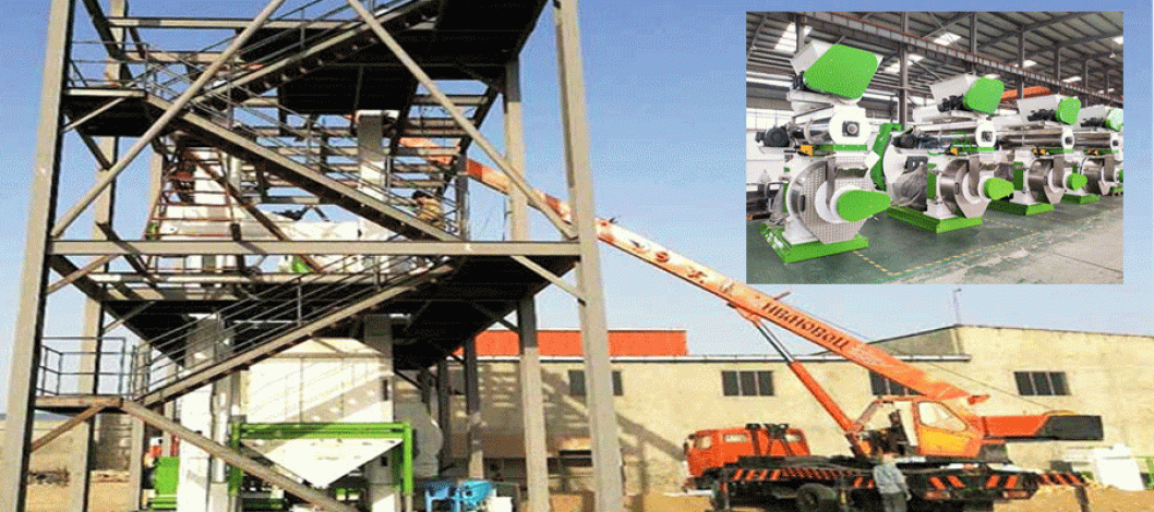 RICHI aquatic feed pellet production line enters the Indian market