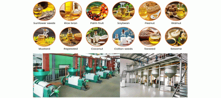 Sunflower processing plant, large sunflower oil production line