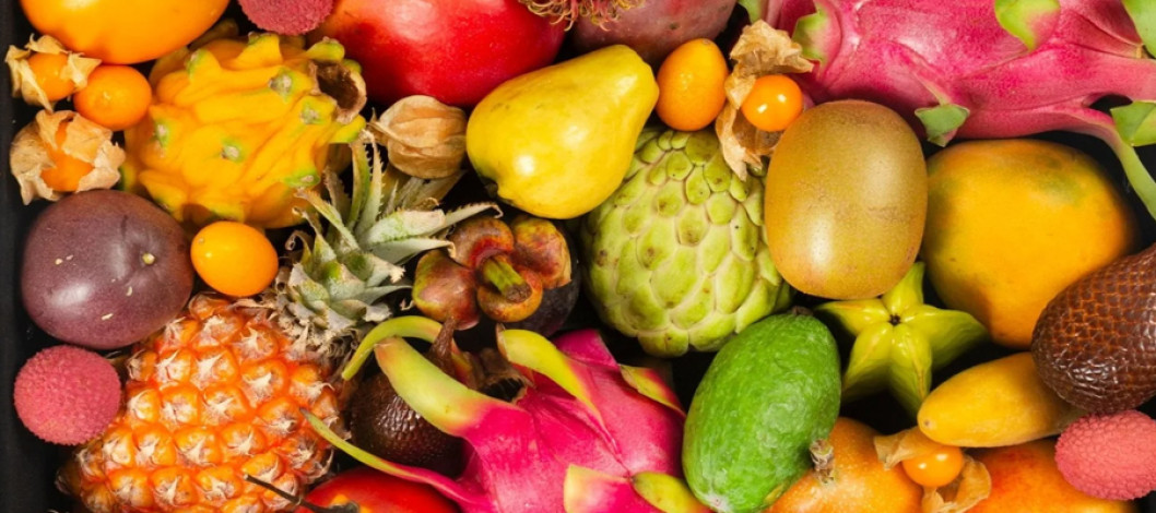 'Exotic fruit cultivation brings financial windfall in Bangladesh'