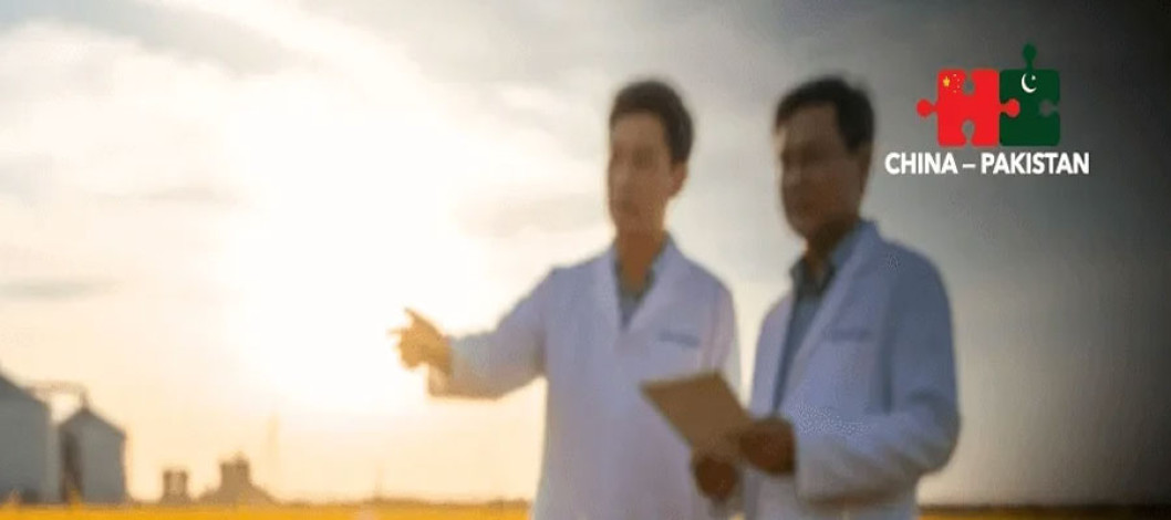 Pak-Chinese scientists achieve joint success in rice research
