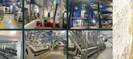 Reshaping Bangladesh’s Flour Milling Industry through Automation: A Market Opportunity for Global Tech Companies