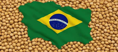 Brazil's soybean exports set to hit record as US exits market, China demand strengthens