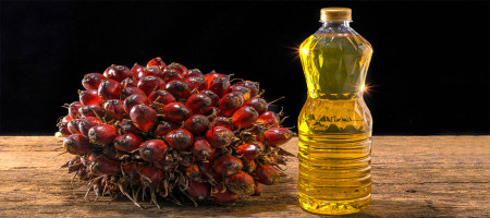 Malaysian palm oil prices fall on supply concerns