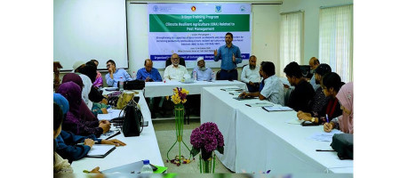 Training on climate-resilient agriculture held at the Bangladesh Agricultural University