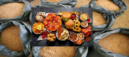 World Food Situation