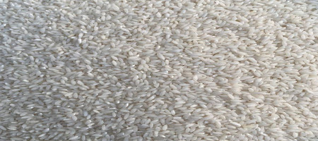 Fragrant rice export deadline extended to November 30