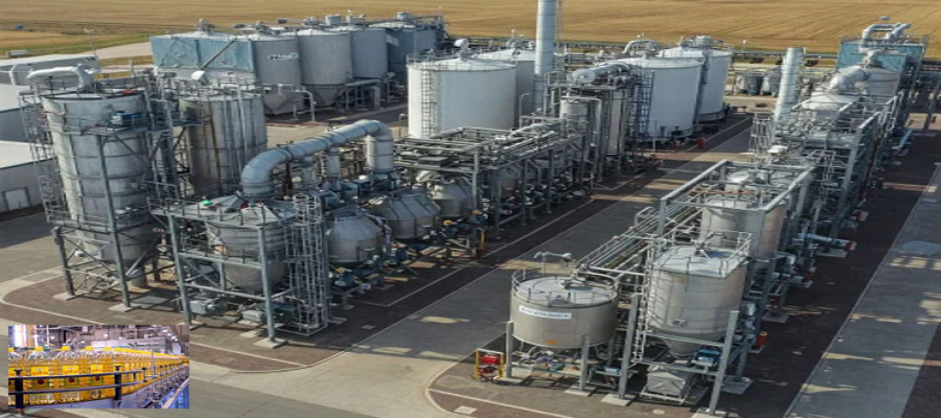 What should be considered to invest in an edible oil refinery plant?