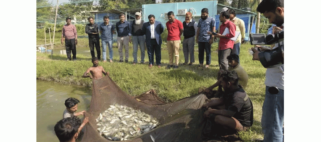 Nobiprobi succeeds in fish farming using scientific technology