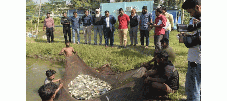 Nobiprobi succeeds in fish farming using scientific technology