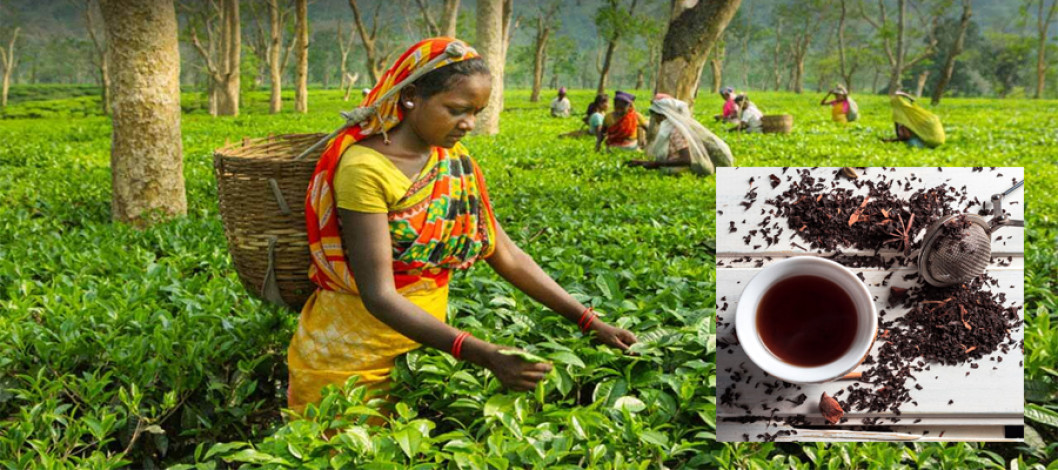 BTB directs Customs not to approve any tea import shipments