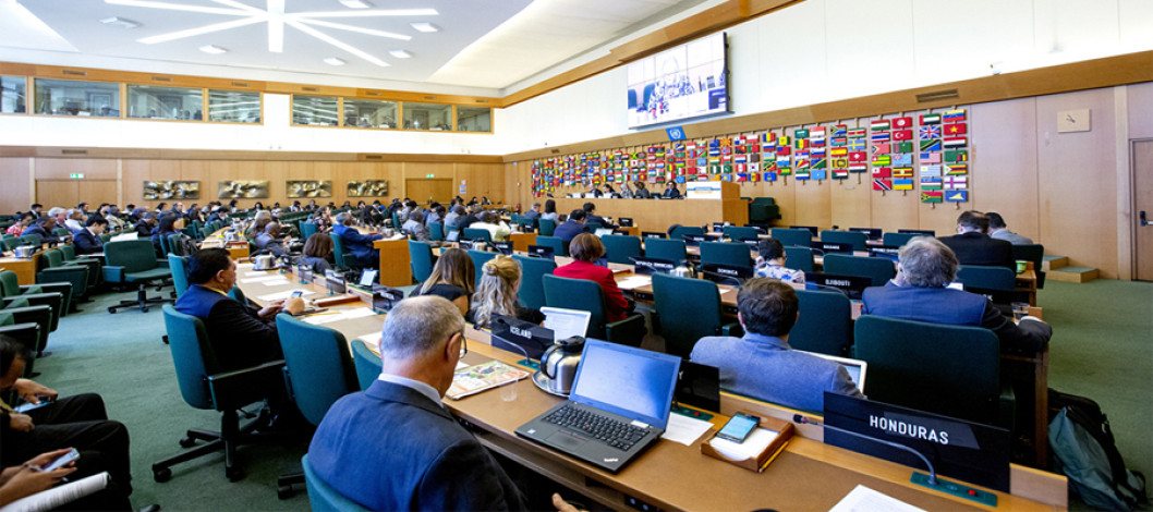 FAO Strategic Framework 2022-31
