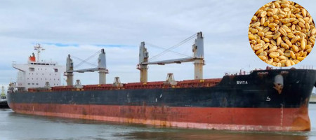 56,890 metric tons of US wheat arrive at Chittagong port