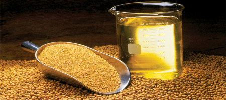 Bangladesh government to purchase 10 million liters of soybean oil