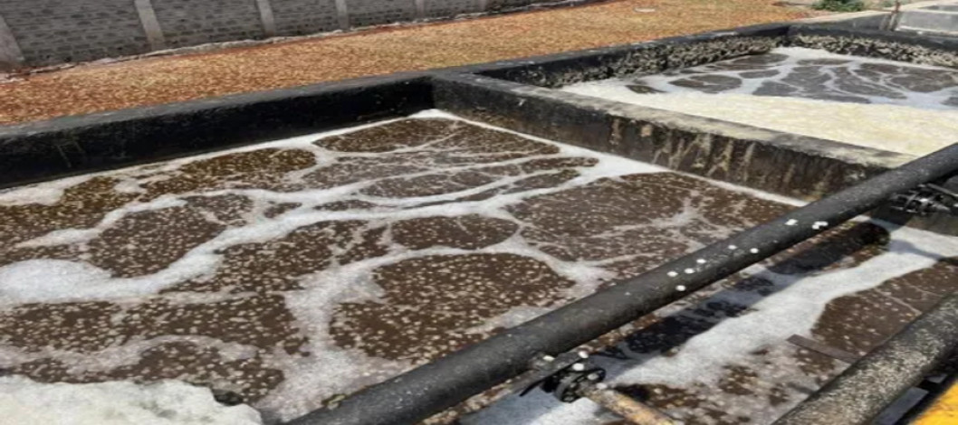 The Preferred Solution for Small and Medium-Scale Wastewater Treatment: Why Is the SBR Process So Popular?