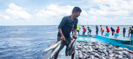 FAO welcomes new treaty on safeguarding marine biological diversity in international waters