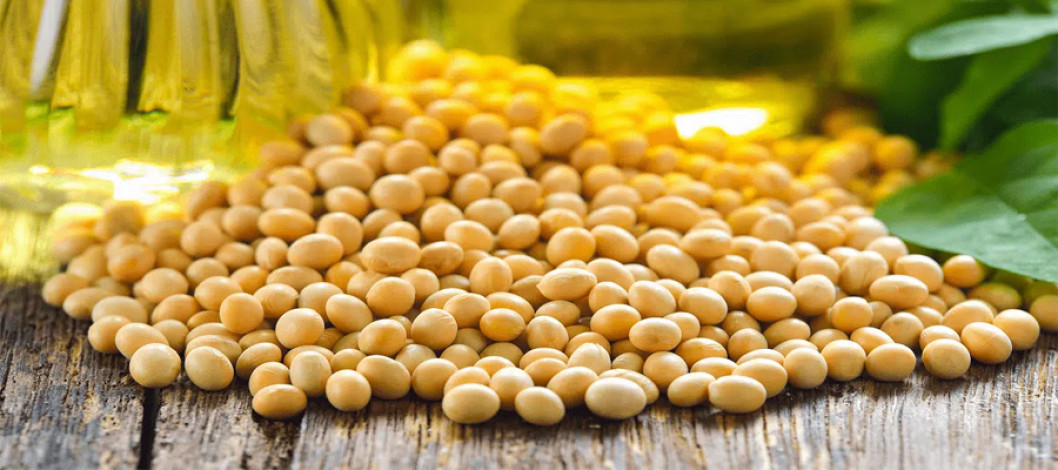 India cancels more South American soy oil cargoes due to rupee depreciation