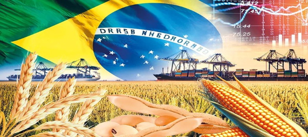 Brazil's agricultural production and its position in the world