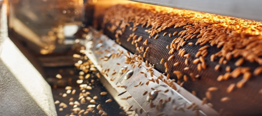 Diversity of grain technology in the world