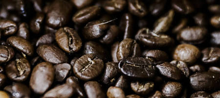 FAO welcomes the UN resolution instituting International Coffee Day