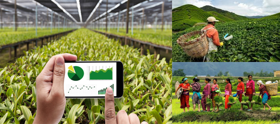 Feature on Agriculture in Malaysia