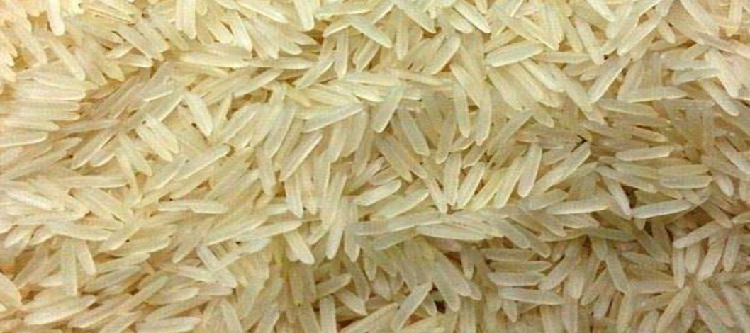 Pakistan's rice exports to China increase by 511 percent in first quarter
