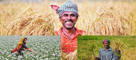 New agricultural loan fund of Tk 10,000 crore, interest rate 8%