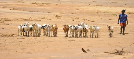 El Niño is coming. Here is where the risks to agriculture are highest